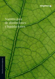 Guia disoluciones liquidaciones